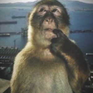 Meet your Posher, Marianna